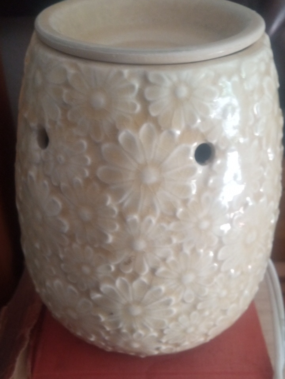 HALLMARK Floral Wax Warmer - Cream Daisy Pattern